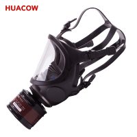 Single Filter Chemical Full Mask Reusable Respirators CR352